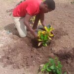 Our Projects WhatsApp Image 2024-10-18 at 23.54.06 (6)